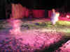 DSCN1315.jpg (145331 bytes)