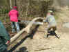 DSCN0618.jpg (194113 bytes)